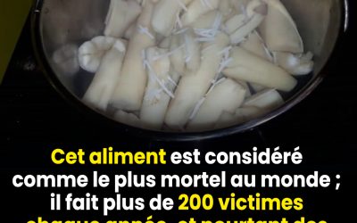 On l’imagine nourrissant, naturel, presque rassurant. Et pourtant, cet aliment du quotidien, présent dans l’assiette de centaines de millions de personnes, cache une réalité méconnue qui surprend même les plus averties. Un aliment indispensable dans de nombreuses régions du monde Le manioc est une racine féculente cultivée depuis des siècles dans les régions tropicales. Résistant à la sécheresse et capable de pousser dans des sols pauvres, il constitue une source essentielle d’énergie pour de nombreuses populations. En Afrique, en Amérique du Sud ou en Asie, il est transformé en galettes, en farines, en bouillies ou encore en perles de tapioca. Pour beaucoup de familles, le manioc n’est pas un choix alimentaire tendance mais une nécessité. Il nourrit, il rassasie et soutient les périodes difficiles lorsque d’autres cultures échouent. C’est précisément ce rôle vital qui explique sa consommation massive.