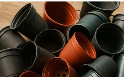 Arrêtez de jeter vos vieux pots de fleurs en plastique. Voici 10 astuces géniales pour les réutiliser à la maison.