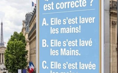 Seuls les vrais experts en français trouveront la bonne réponse ! Clic le lien 🔗