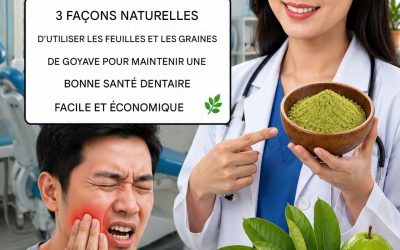 3 façons simples et économiques de soigner les caries avec des feuilles de goyave