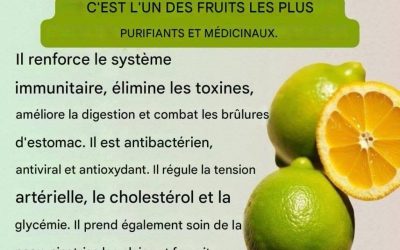 10 bienfaits du citron, propriétés et comment le consommer