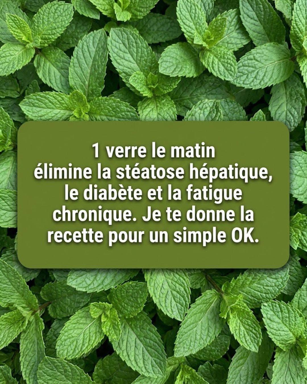 Menthe et Citron : Le remède maison qui purifie, rajeunit et vous donne de l’énergie en quelques minutes