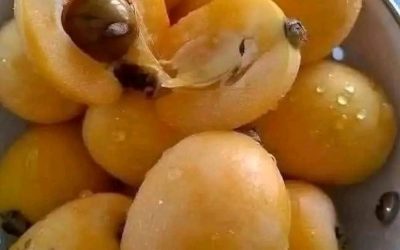 Cette recette de confiture maison toute simple transforme les fruits du quotidien en un délice qui durera longtemps.
