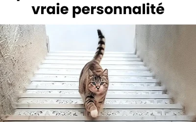 Ce que vous avez vu en premier révèle toute la vérité sur vous