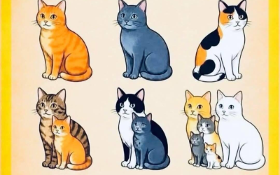 Avez-vous vu les résumés des conversations ?🐱👀