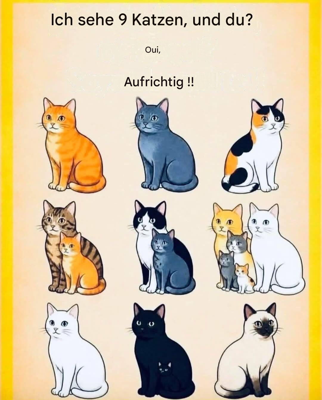 Avez-vous vu les résumés des conversations ?🐱👀