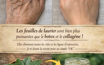Les feuilles de laurier sont bien plus puissantes que le botox et le collagène ! Elles attirent toutes les rides et les lignes d’expression. J’ai besoin que tu dises quelque chose pour continuer à recevoir mes recettes 🙏