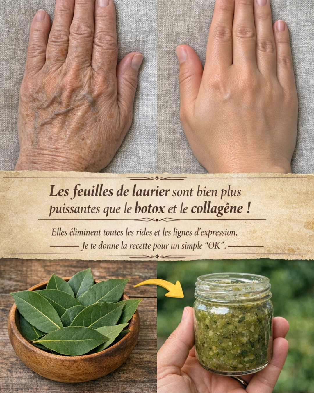 Les feuilles de laurier sont bien plus puissantes que le botox et le collagène ! Elles attirent toutes les rides et les lignes d’expression. J’ai besoin que tu dises quelque chose pour continuer à recevoir mes recettes 🙏
