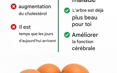 Ne mangez pas l’histoire, mangez l’œuf !!
