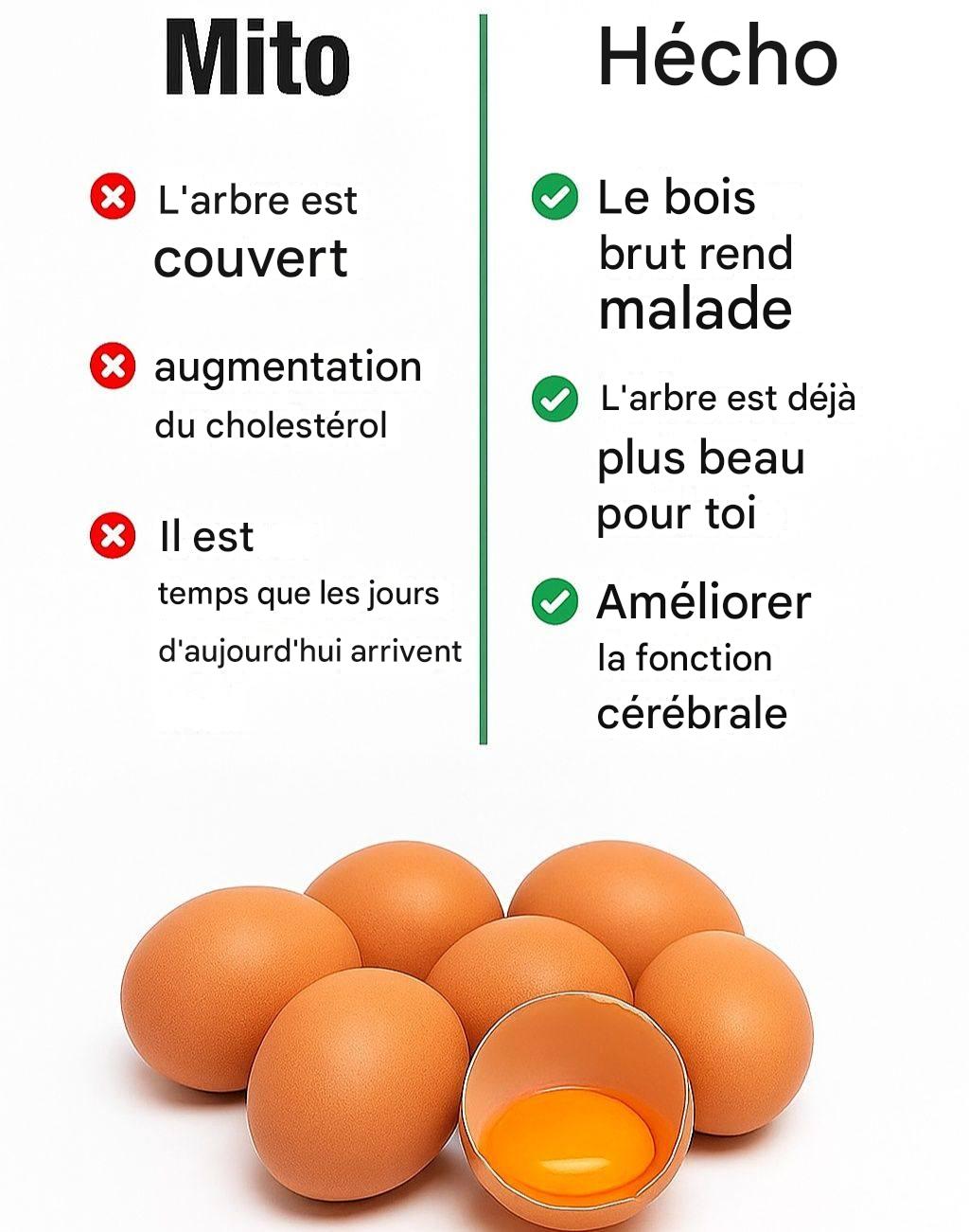 Ne mangez pas l’histoire, mangez l’œuf !!