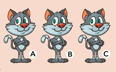 Défi d’illusion d’optique : quel chat est différent sur la photo ?
