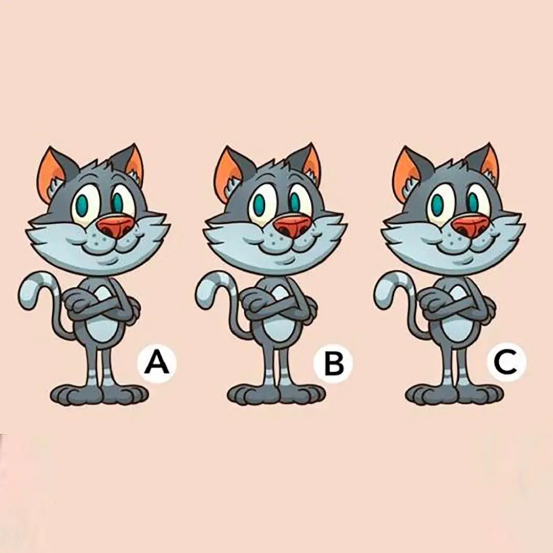 Défi d’illusion d’optique : quel chat est différent sur la photo ?