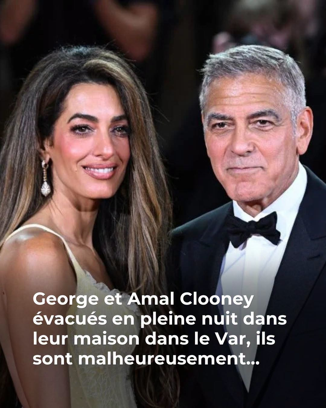 😢 Évacués dans l’urgence, ce couple emblématique est…Voir plus